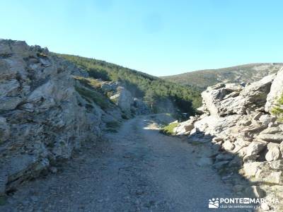 Chorro de San Mamés - Montes Carpetanos  -- senderismo;actividades de ocio y tiempo libre senderism